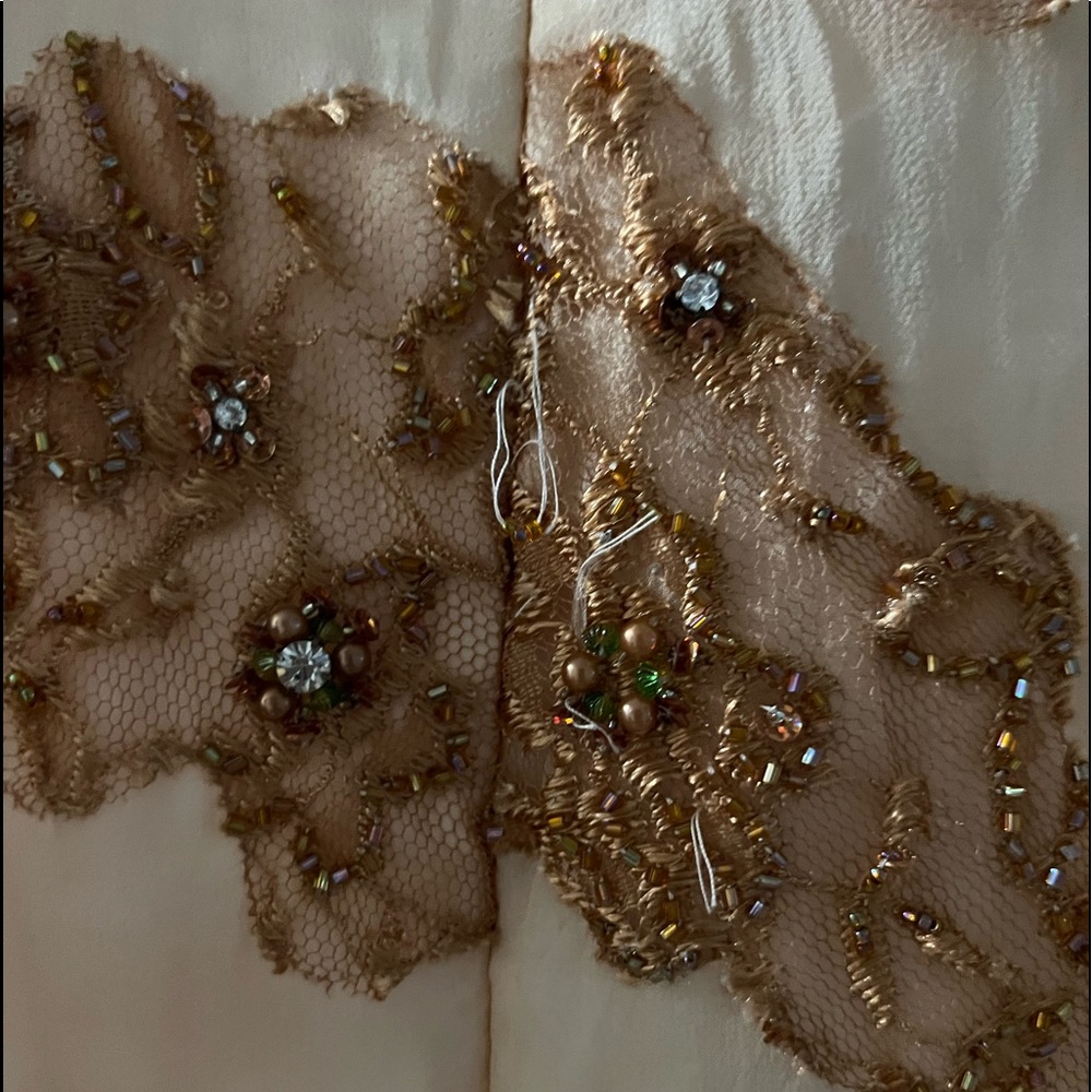 Chiffon cream lace gown - Picture 7 of 11